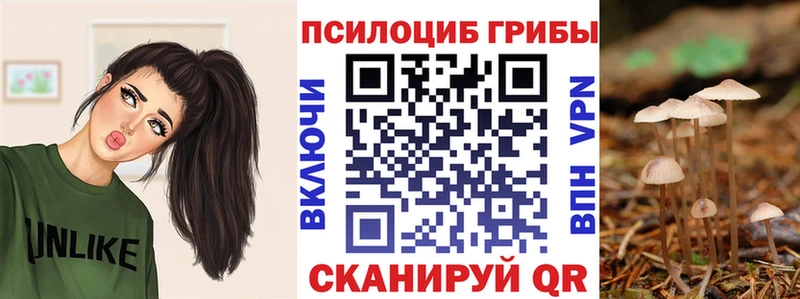 shop Telegram  Ковров  Псилоцибиновые грибы GOLDEN TEACHER 