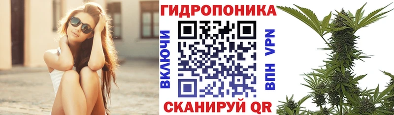 даркнет сайт  Ковров  Марихуана SATIVA & INDICA 